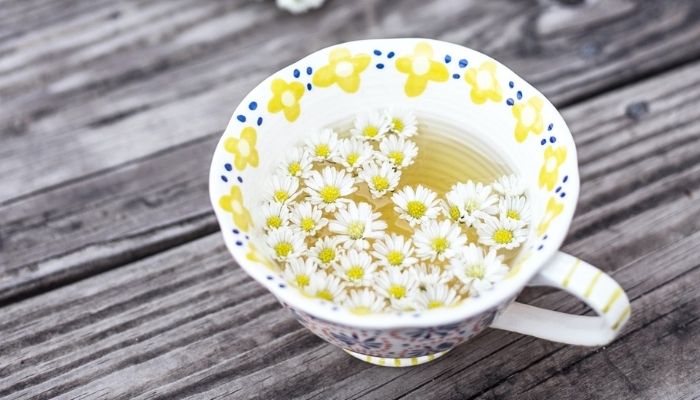 A Quick Guide to Chamomile for Skin Care