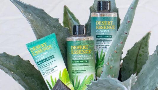 The Quick Guide to Aloe Vera