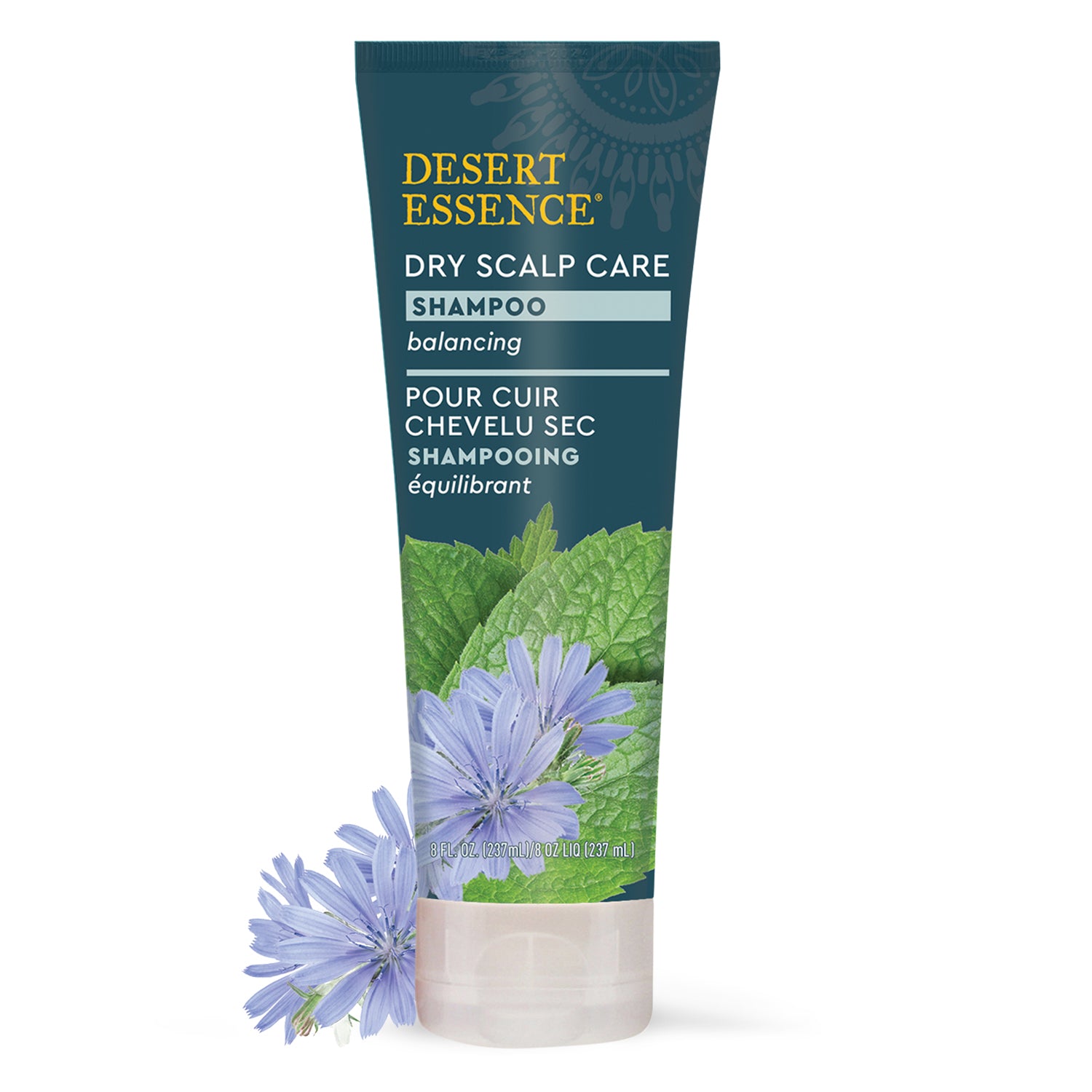 aloe vera plant for dry scalp Dry Scalp Care Shampoo 8 fl. oz