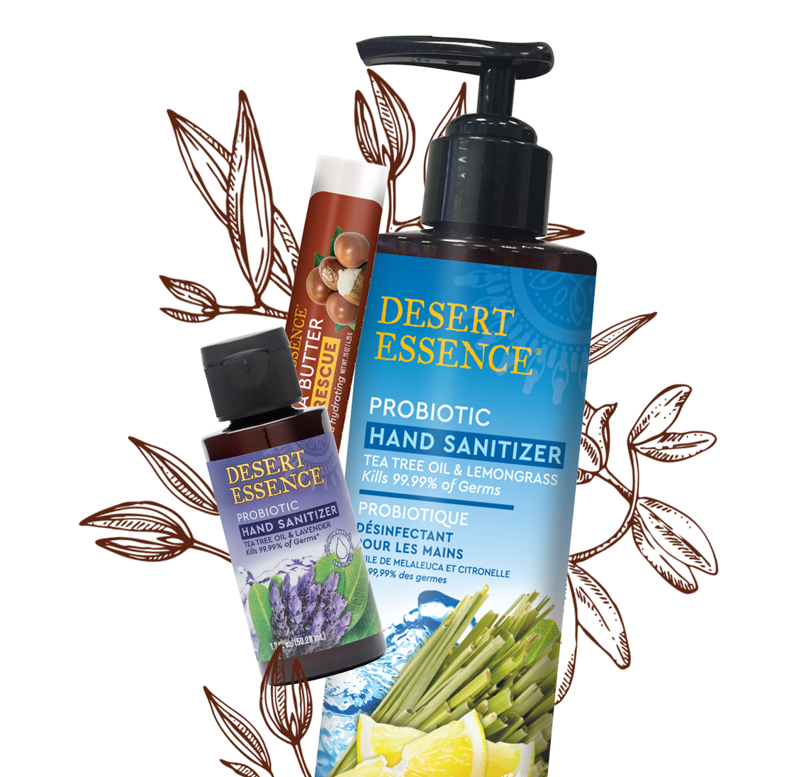DESERT ESSENCE ティーツリー まずく 保湿シャンプー 382ml デザート 