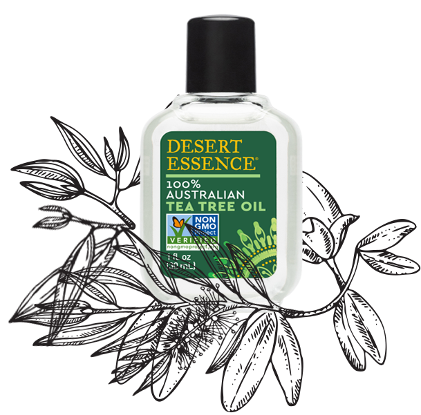 Top Uses & Benefits of Tea Tree Oil | Desert Essence