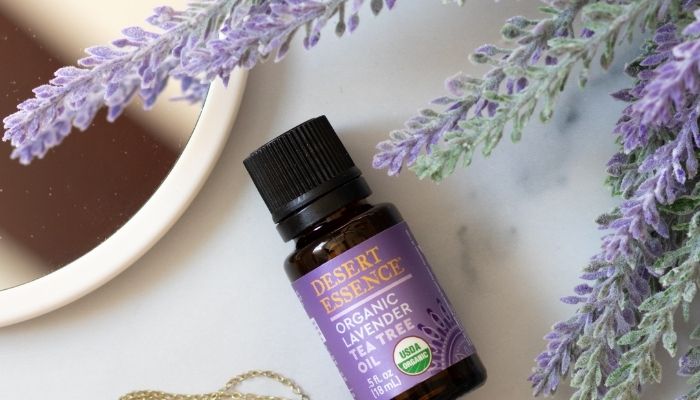 Guide to Lavender & It's Benefits