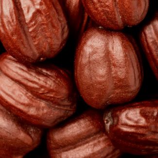 An image of Jojoba beans
